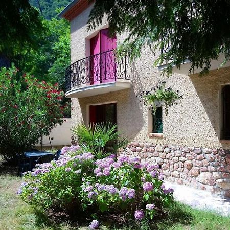 Appartement 48 M2 Avec Jardin Au Rdc Dans Villa A 5 Min A Pied Des Thermes De Vernet-Les-Bains, Location De Samedi A Samedi Buitenkant foto